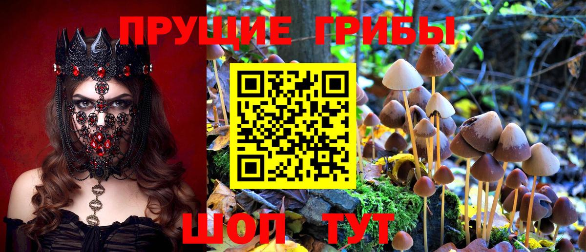 Галлюциногенные грибы Psilocybe  Вход с VPN  Чебаркуль 