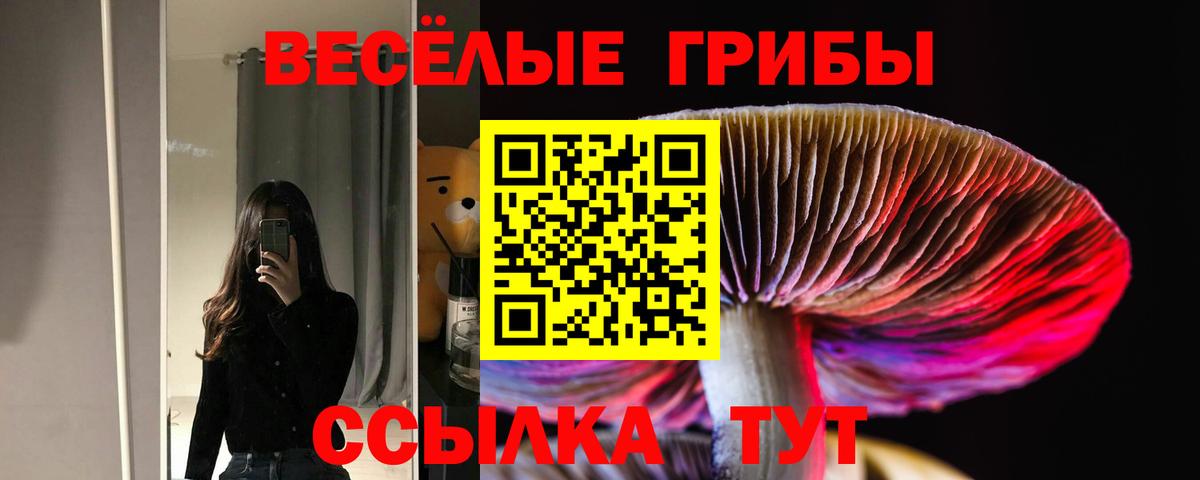 Псилоцибиновые грибы Cubensis Чебаркуль